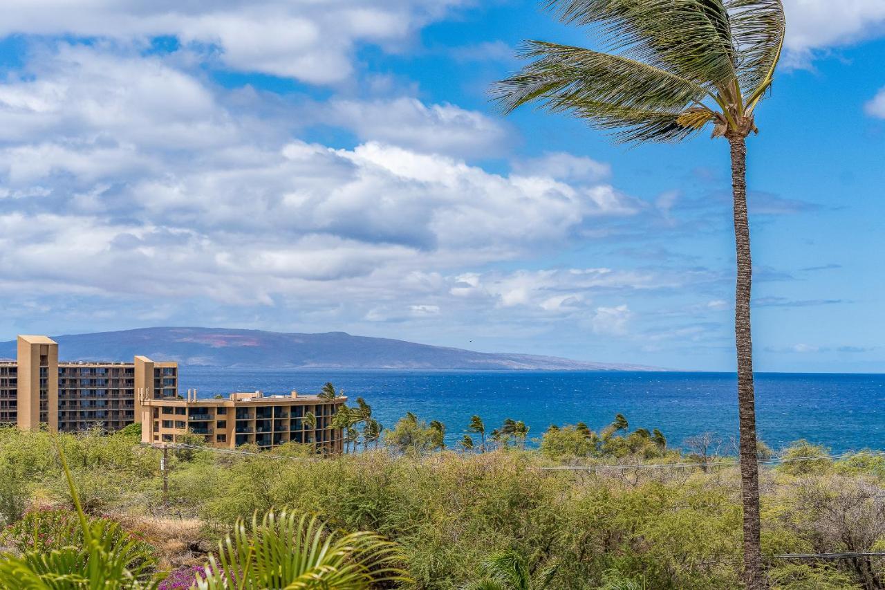 Maui Kamaole A204 - Romvari Realty Kihei Kültér fotó